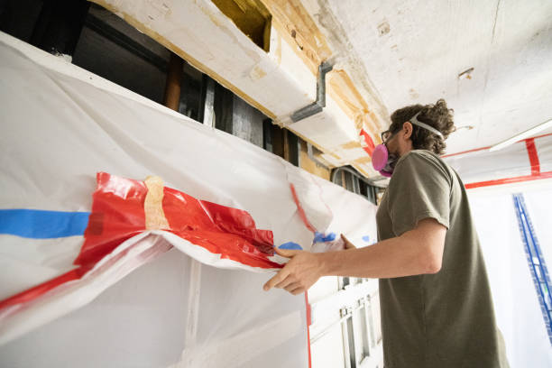 Best Dehumidification Services  in Hanamaulu, HI