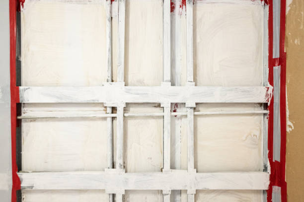 Best Mold Damage Restoration  in Hanamaulu, HI